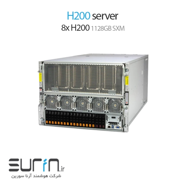 h200 server